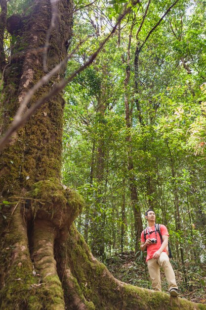 Hiker standing below giant tree