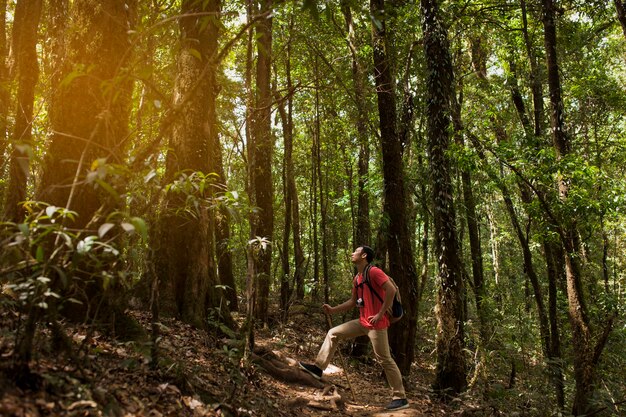 Hiker taking a rest in a wild forest