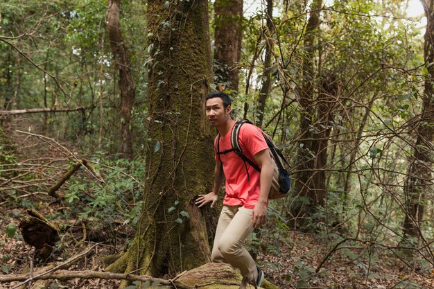 Hiker walking through forest