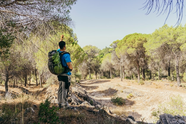 Free photo hiker with backpack standing in forest