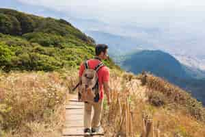 Free photo hiker on a wooden path in mountainous region