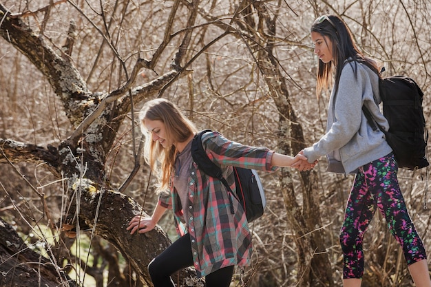 Free photo hikers holding hands