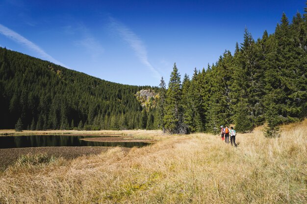 Hikers on a trail along a scenic landscape with mountains, trees and a lake