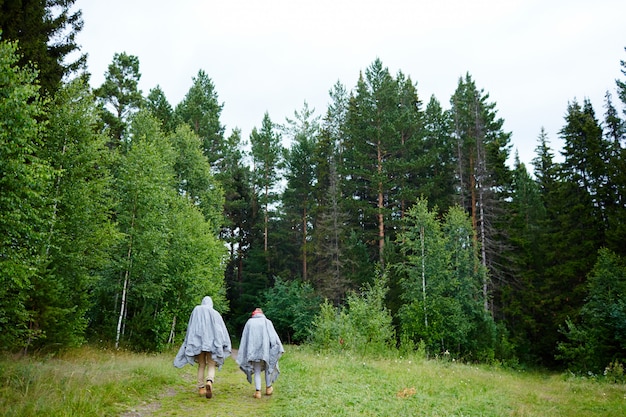 Free photo hiking in forest