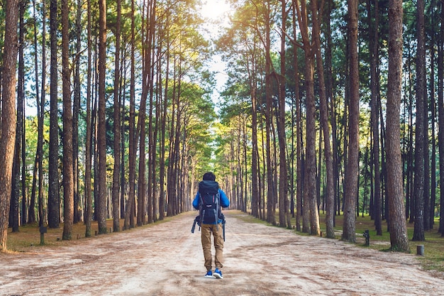 Hiking man with backpack walking in forest.