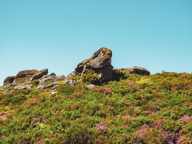 Hills in greens and big rocks under the cloudy sky