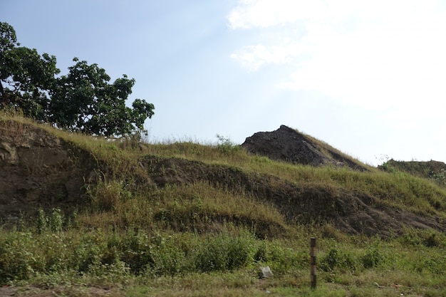 Free Photo hills with grass