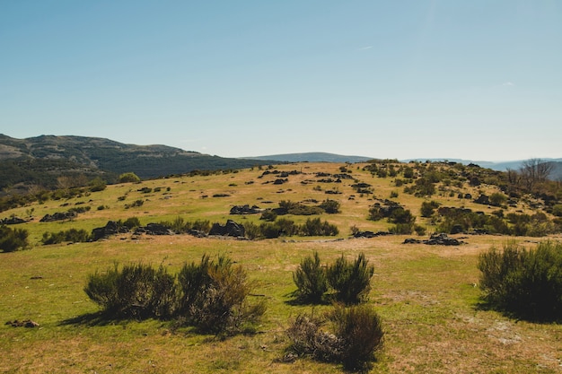 Free photo hilly countryside