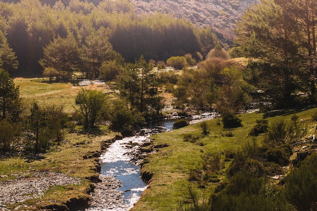 Free photo hilly landscape with small river