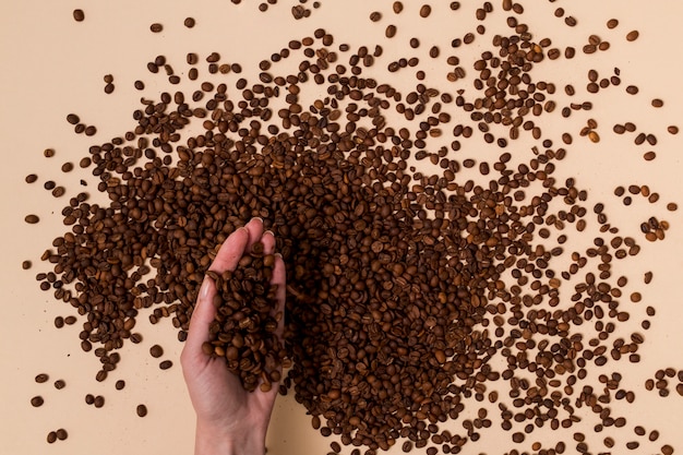 Holding coffee beans with the hand