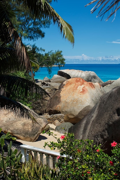 Free photo holiday concept seychelles beach