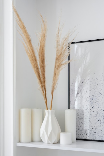 Home plant in vase decoration arrangement