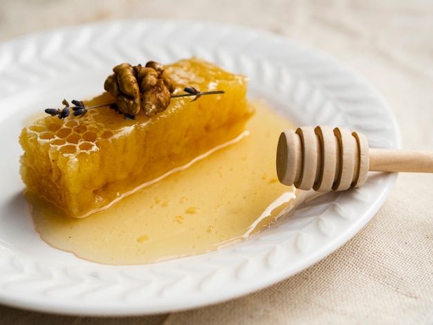 Homemade honey on plate close up