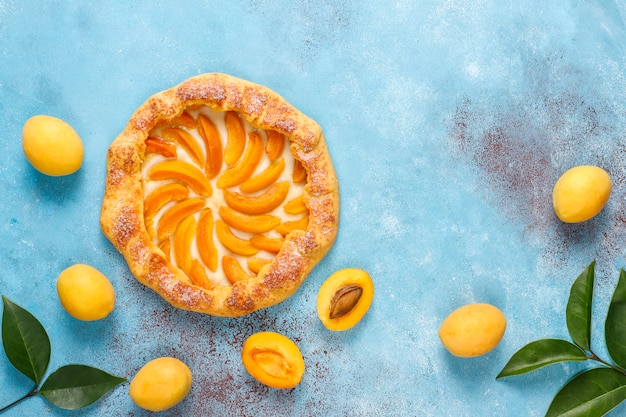 Free photo homemade rustic apricot galettes with fresh organic apricot fruits.