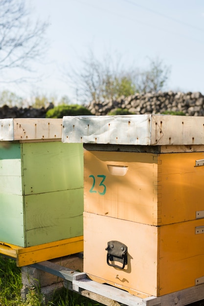 Honey farm landscape