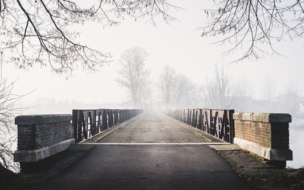 Free photo horizontal creepy shot of a bridge leading to a foggy forest with houses