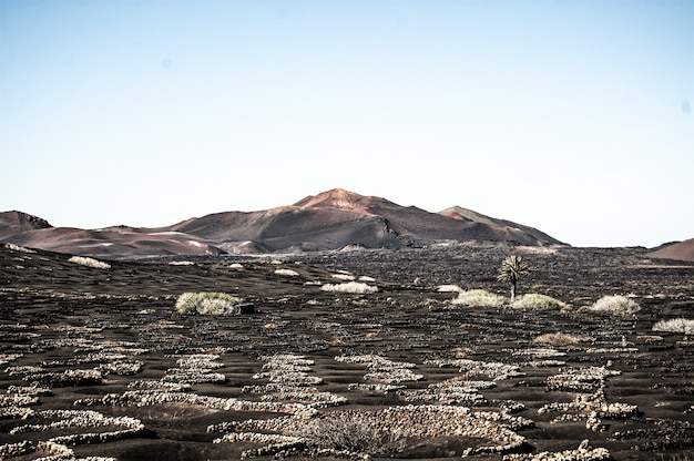 Horizontal shot of the beautiful landscape in Lanzarote, Spain during daylight