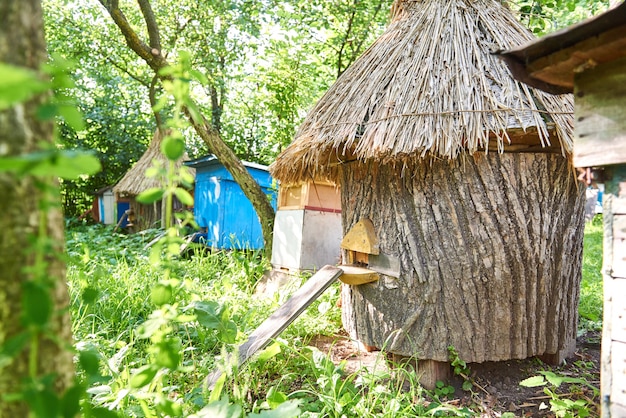 Free photo horizontal shot of a beehive in the garden copyspace nature farming profession beekeeping lifestyle concept.