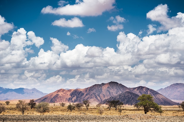 Free photo horizontal shot of landscape at the namib desert in namibia under the blue sky and white clouds