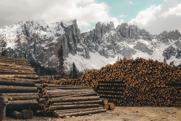 Free Photo horizontal shot of a pile of firewood logs with rocky mountains covered in snow