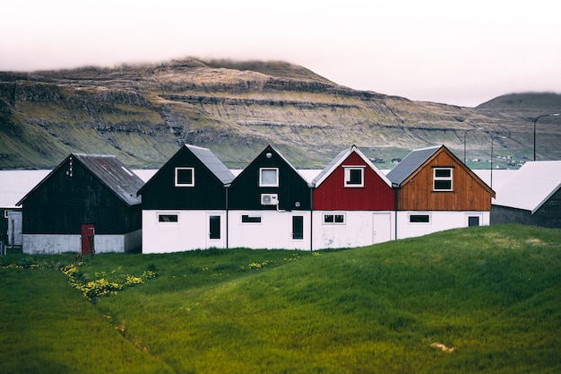 Free photo horizontal view of colourful farmhouses at the coast on green grass ground