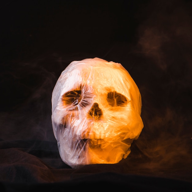 Free photo horror concept with skull in plastic bag