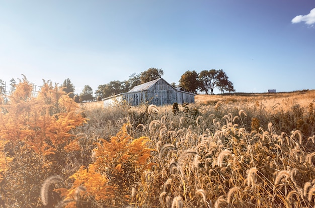 Free Photo house in the countryside