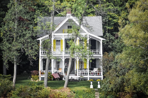 House in a forest covered in greenery under the sunlight at daytime