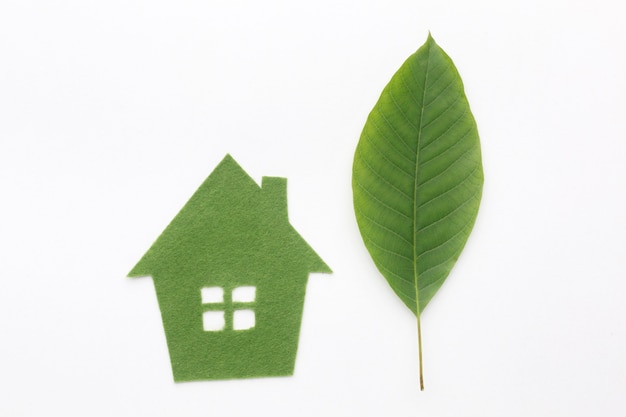 House made of leaf