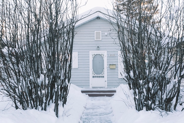 Free photo house with bushes in winter