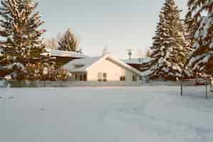 Free photo house with snowy pine trees in winter