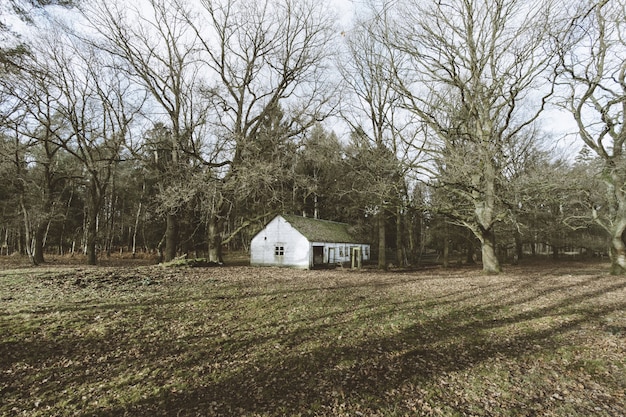 Free Photo a house in the woods