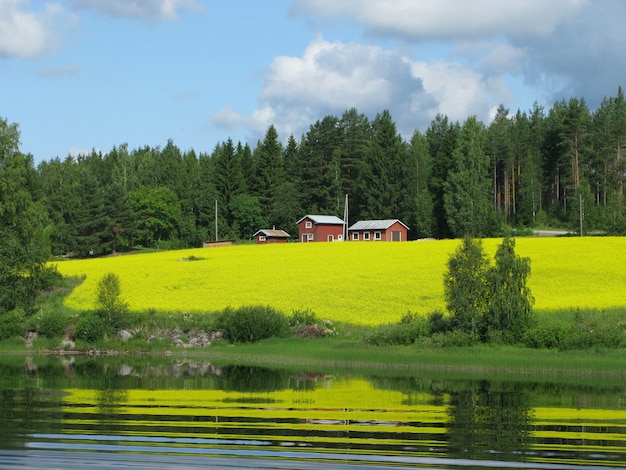 Free photo houses and trees on a beautiful grass-covered hill by a lake captured in finland