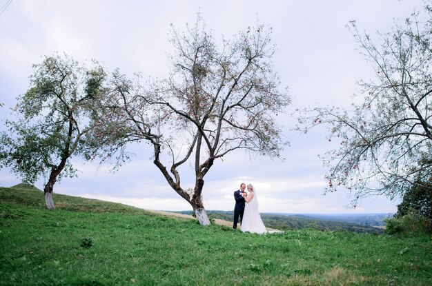 Hugging wedding couple stands under the old tree on the field