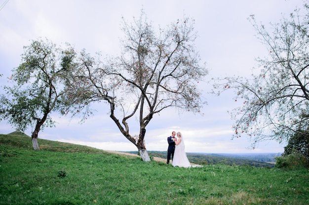 Hugging wedding couple stands under the old tree on the field