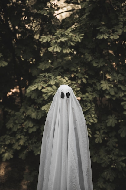 Human in ghost costume standing near bush 