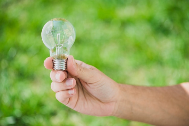 Free photo human hand holding transparent light bulb against green backdrop