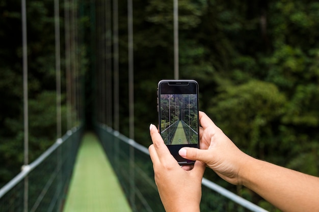 Free Photo human hand taking picture of suspension bridge on cellphone in rainforest at costa rica