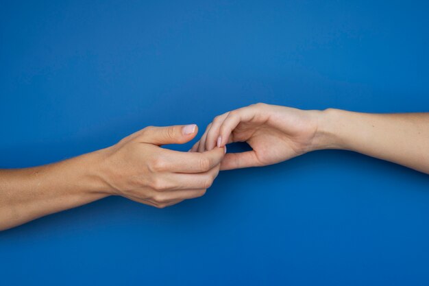 Free Photo human hands against clear background