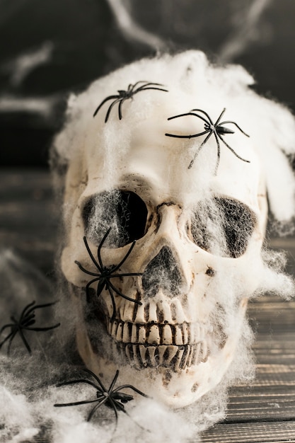 Human skull with artificial web and spiders