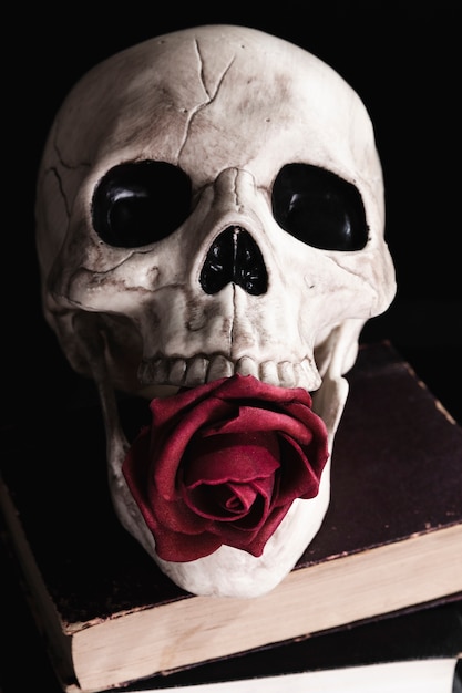 Free Photo human skull with rose on books