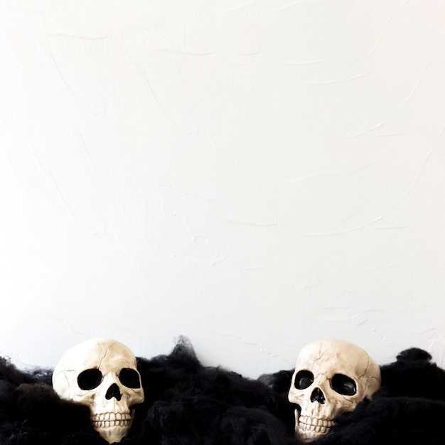 Free Photo human skulls on black material