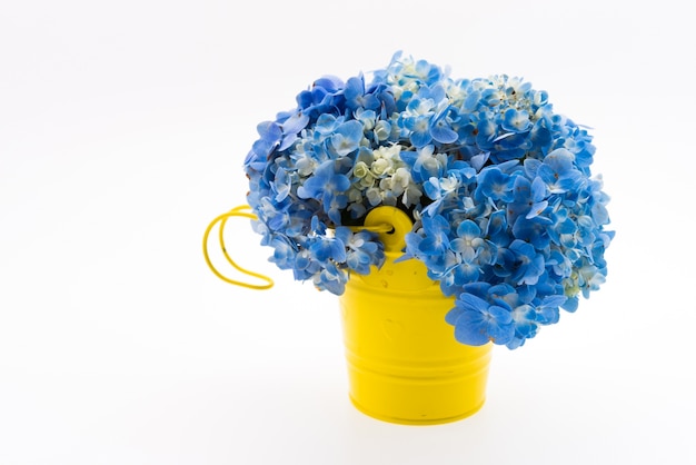 Free photo hydrangea flower bouquet isolated