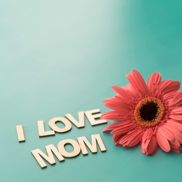 Free Photo "i love mom" lettering with flower close up