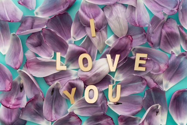 Free Photo "i love you" lettering on rose petals