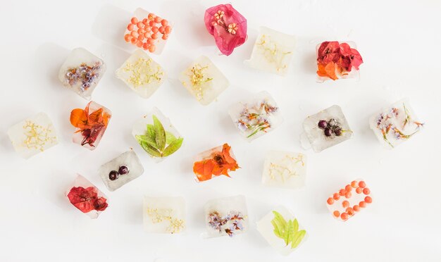 Ice cubes with bright flowers on white background