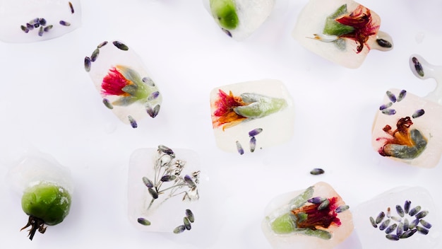 Ice cubes with flowers and seeds