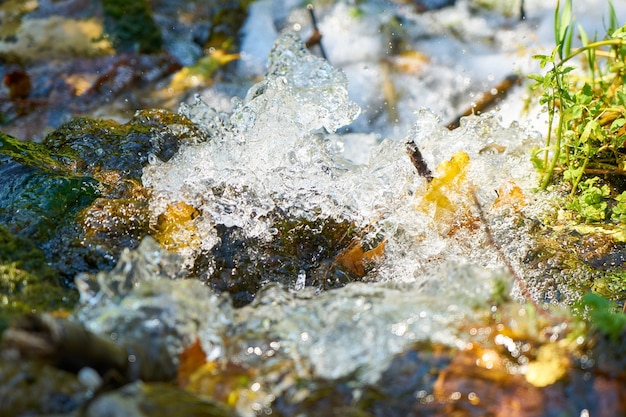 Ice on rocks with moss