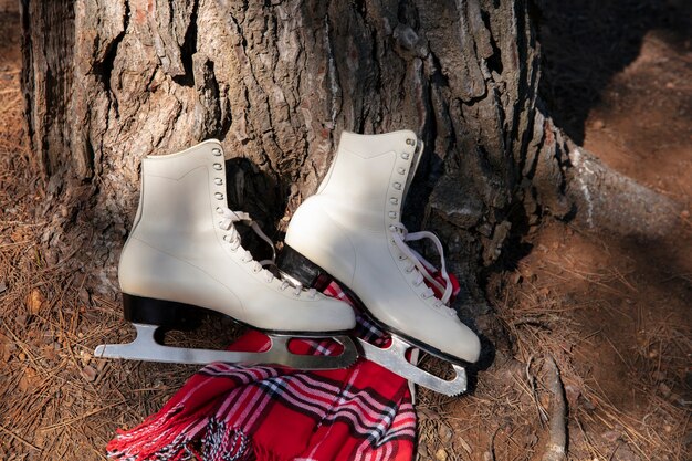 Ice skates outdoors still life