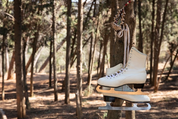 Free photo ice skates outdoors still life